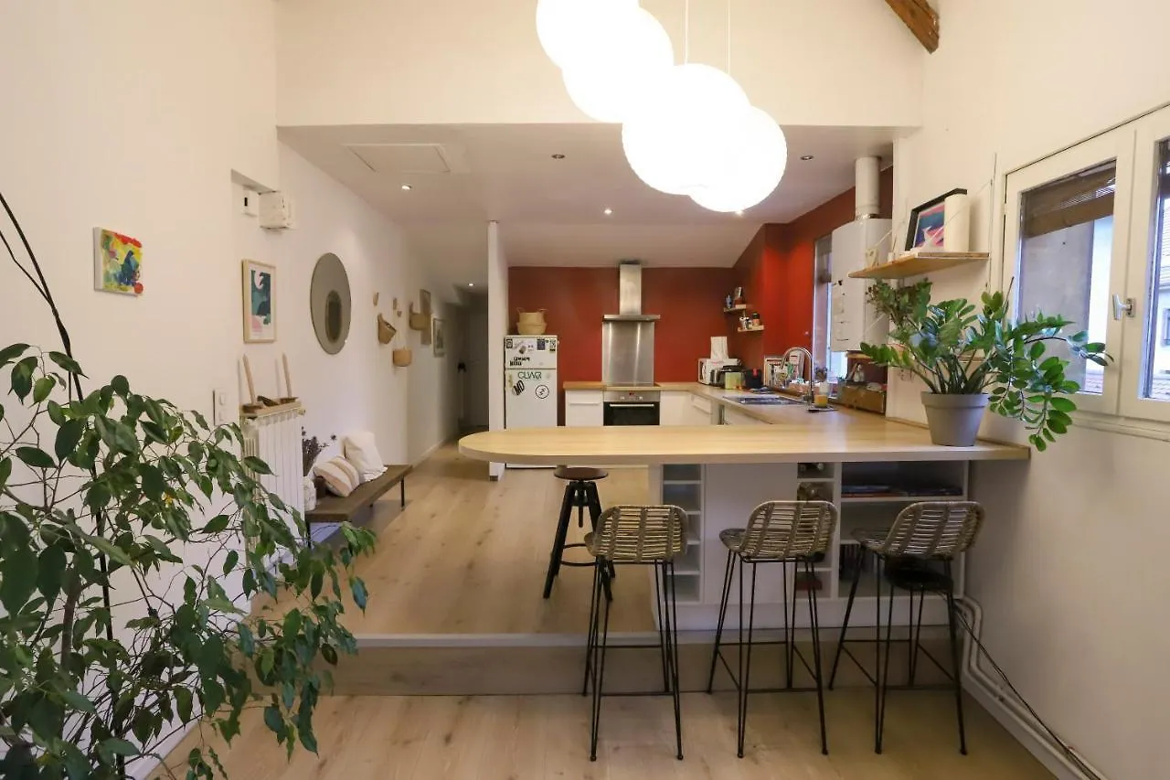 Petit-Coeur Charmant En Centre Ville Apartment Annecy