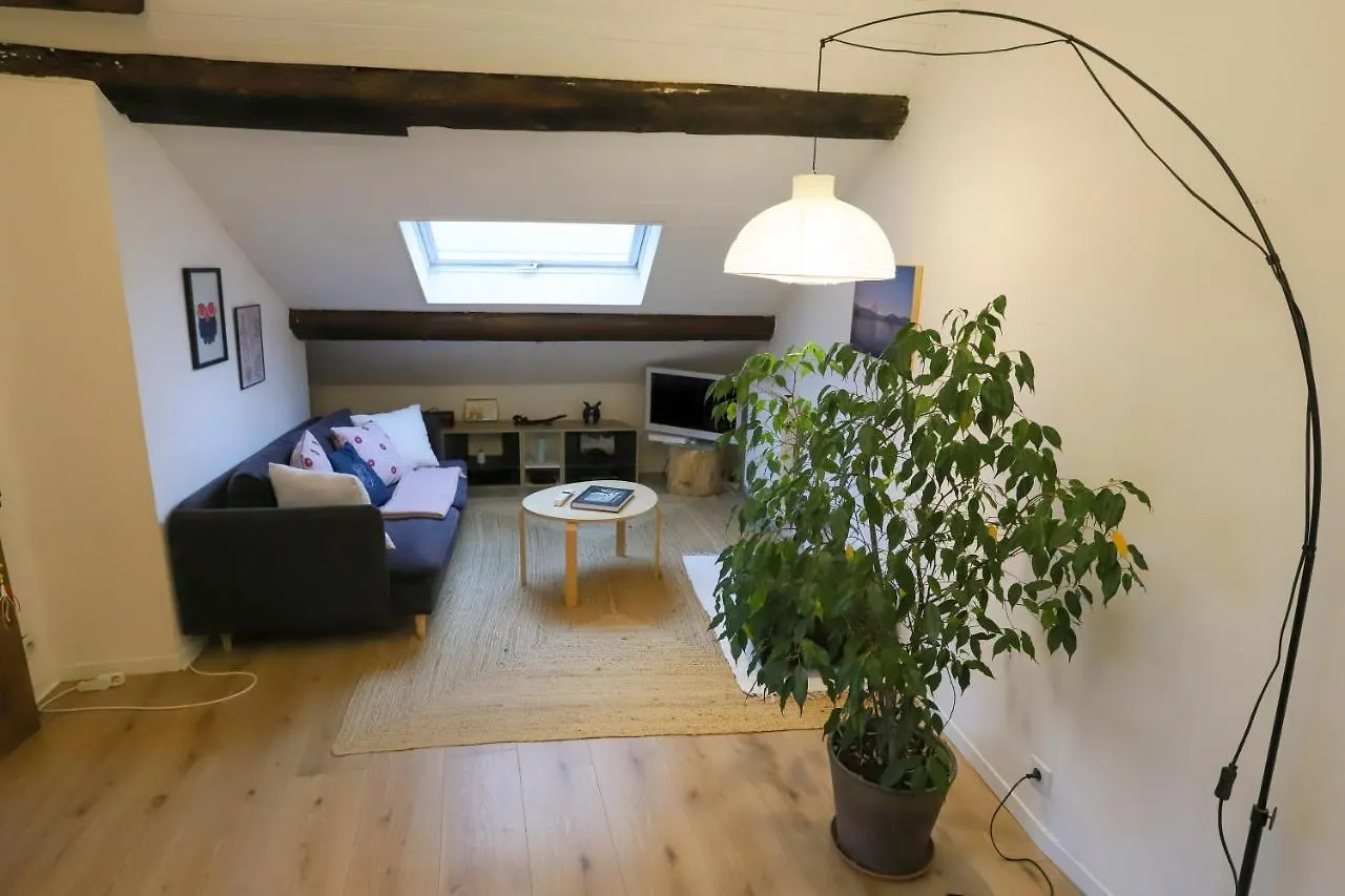 Petit-Coeur Charmant En Centre Ville Apartment Annecy