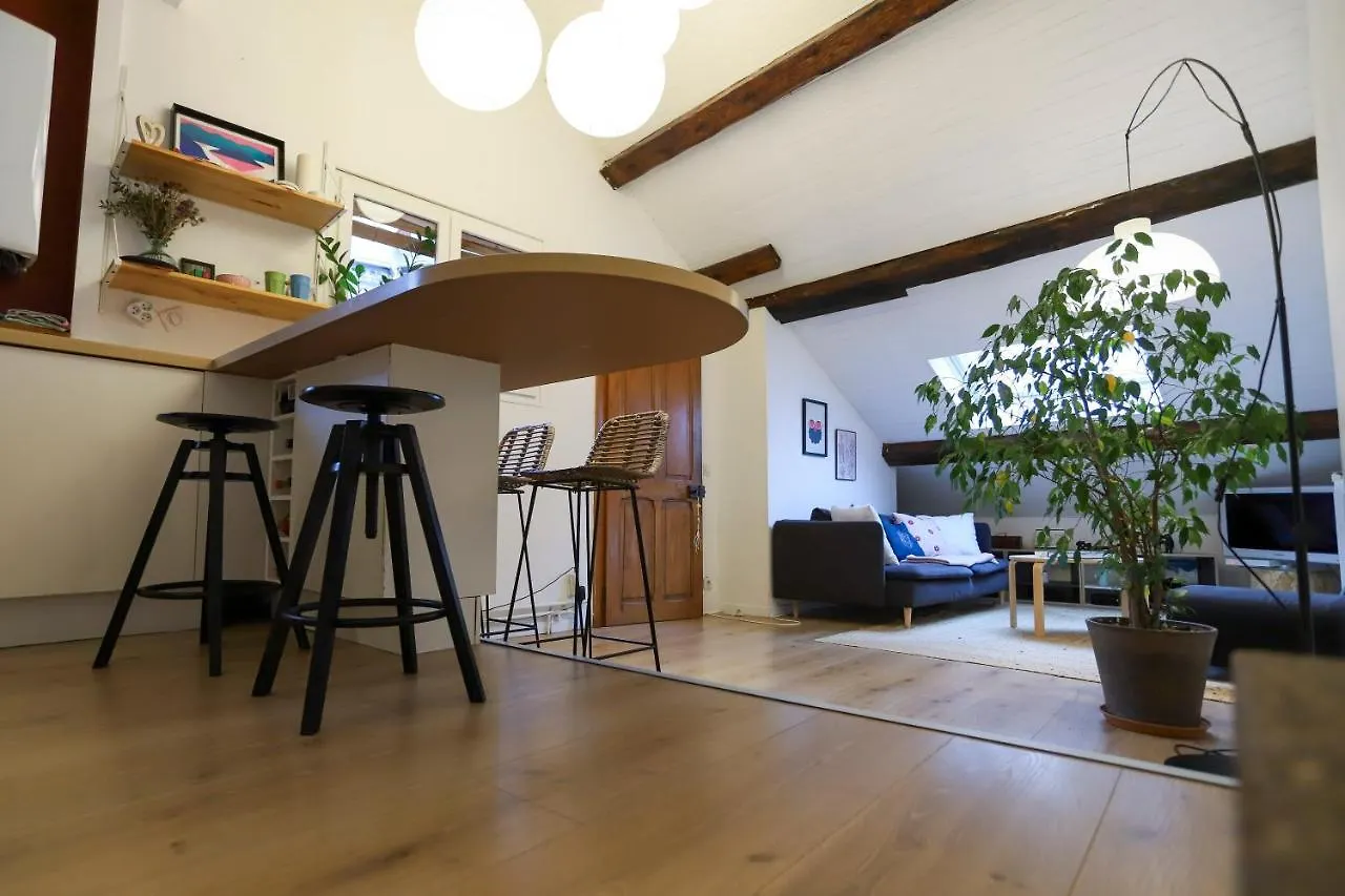 Petit-Coeur Charmant En Centre Ville Apartment Annecy France