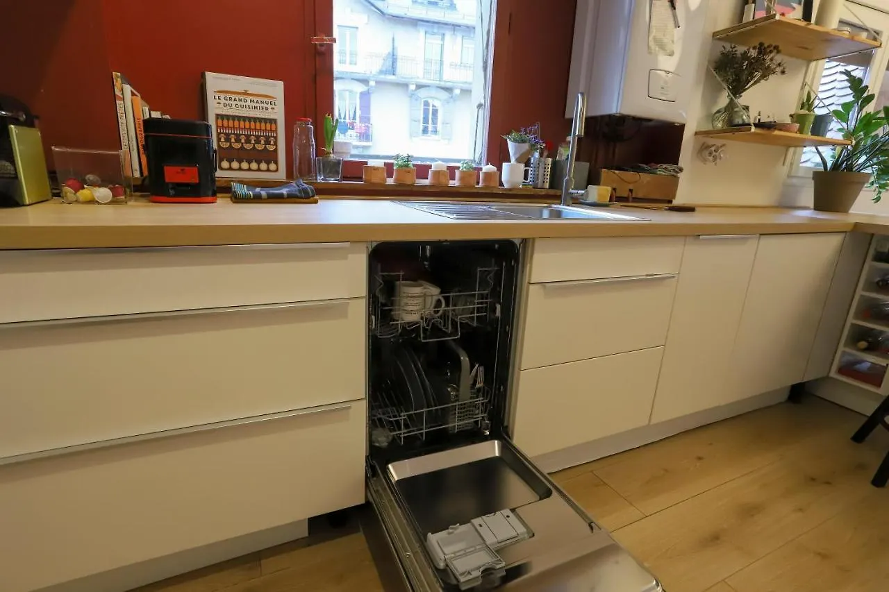 Petit-Coeur Charmant En Centre Ville Apartment Annecy