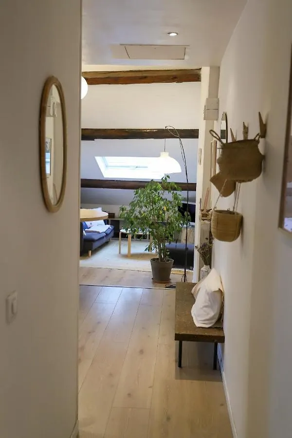 Petit-Coeur Charmant En Centre Ville Apartment Annecy
