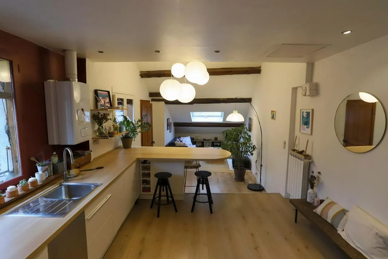 Petit-Coeur Charmant En Centre Ville Apartment Annecy