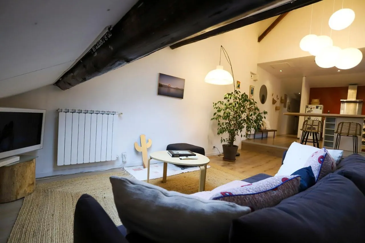 Petit-Coeur Charmant En Centre Ville Apartment Annecy