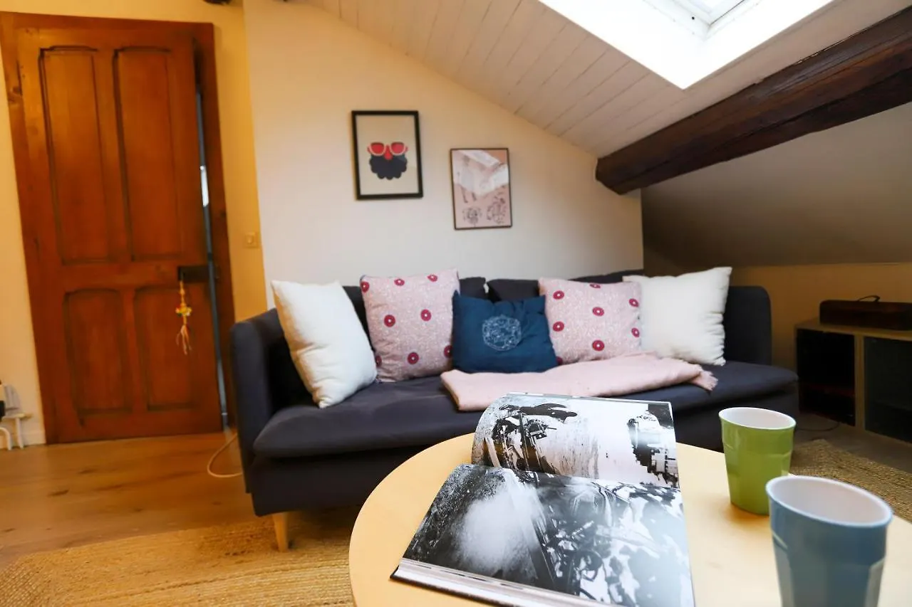 Petit-Coeur Charmant En Centre Ville Apartment Annecy