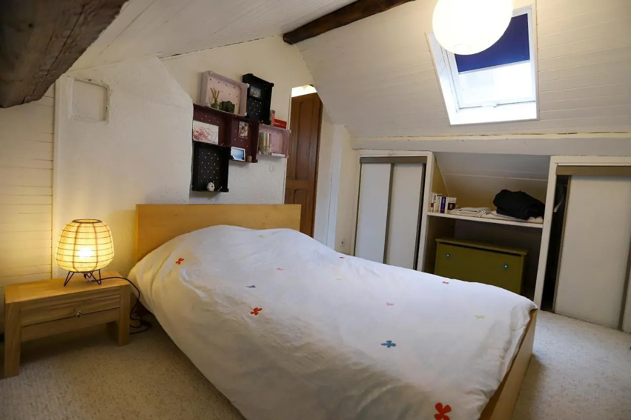 Petit-Coeur Charmant En Centre Ville Apartment Annecy France