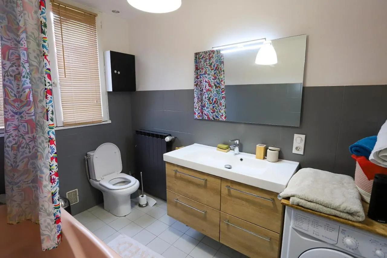 Petit-Coeur Charmant En Centre Ville Apartment Annecy