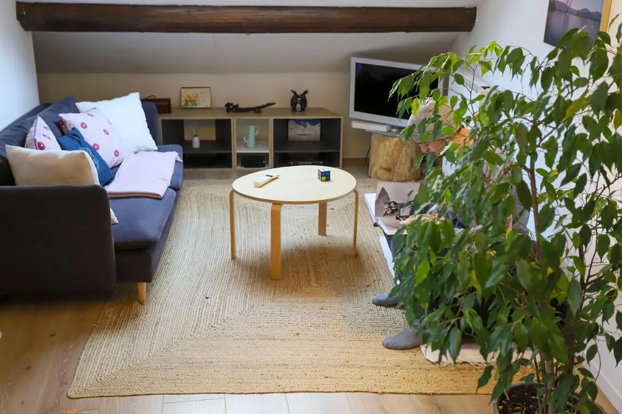 Petit-Coeur Charmant En Centre Ville Apartment Annecy France