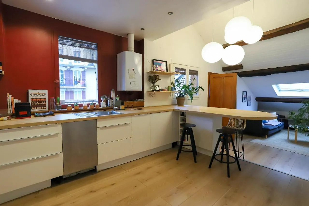 Petit-Coeur Charmant En Centre Ville Apartment Annecy