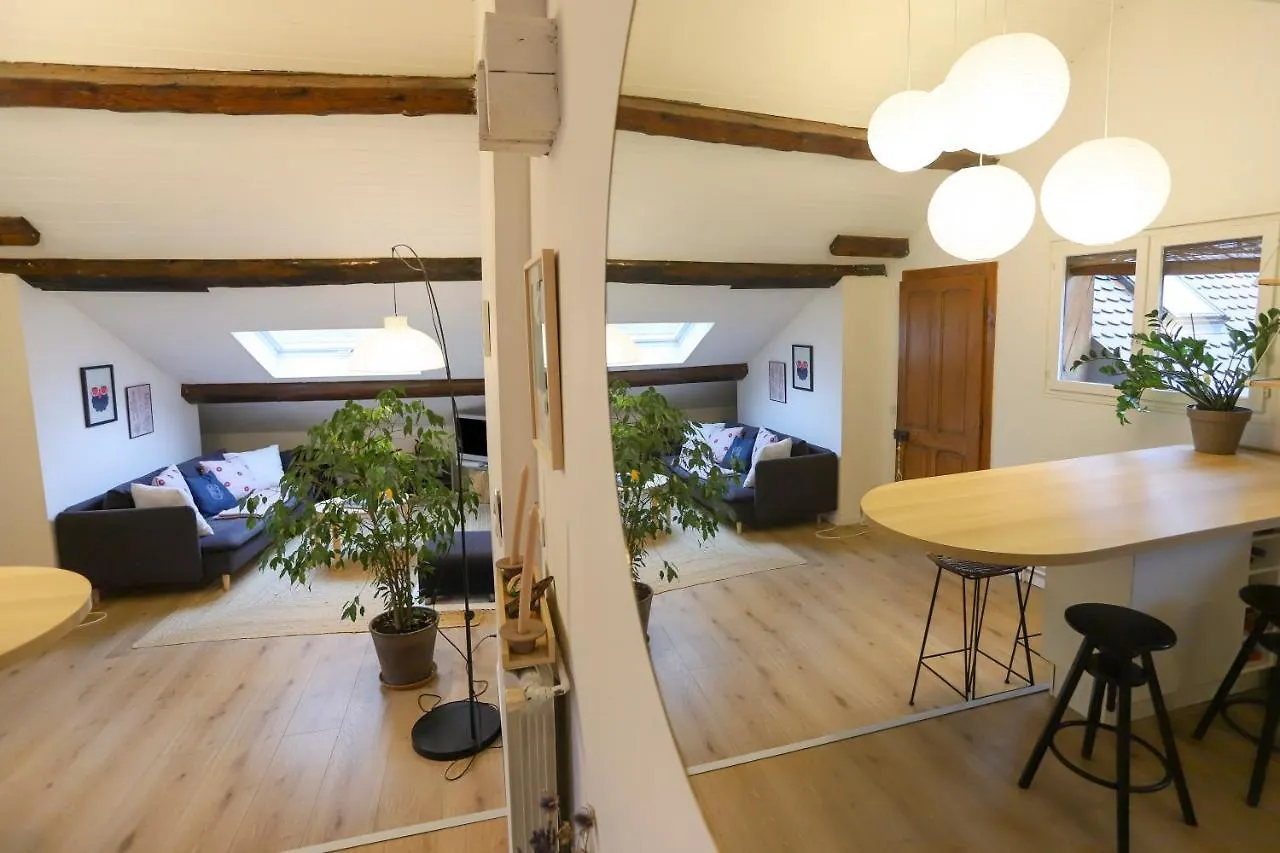 Petit-Coeur Charmant En Centre Ville Apartment Annecy 0*,